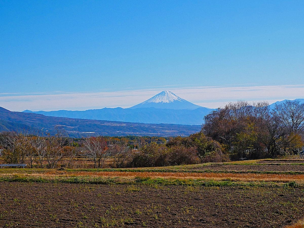 懐かしさと洗練された空間